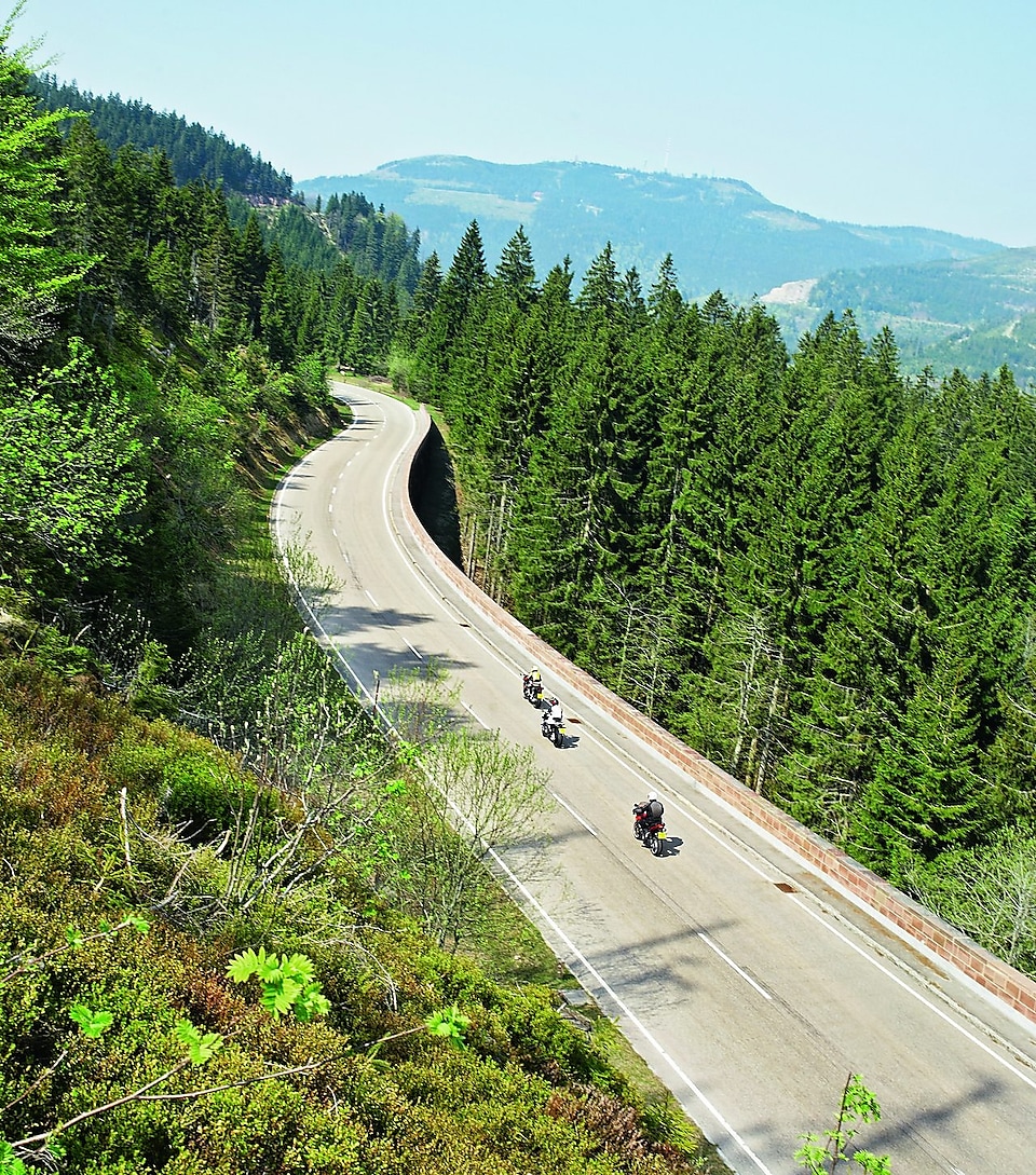 Trois motos qui font la course le long d'une route de montagne bordée d'arbres